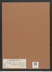 Navicula retusa var. subretusa (Grun.) V.H. (de-Toni-Nr.: Genus 1, Species 40) Zeichnungen Sammlung Grunow Mappe 00032 (Herbarium_W_Grunow_drawings_Folder_00032)